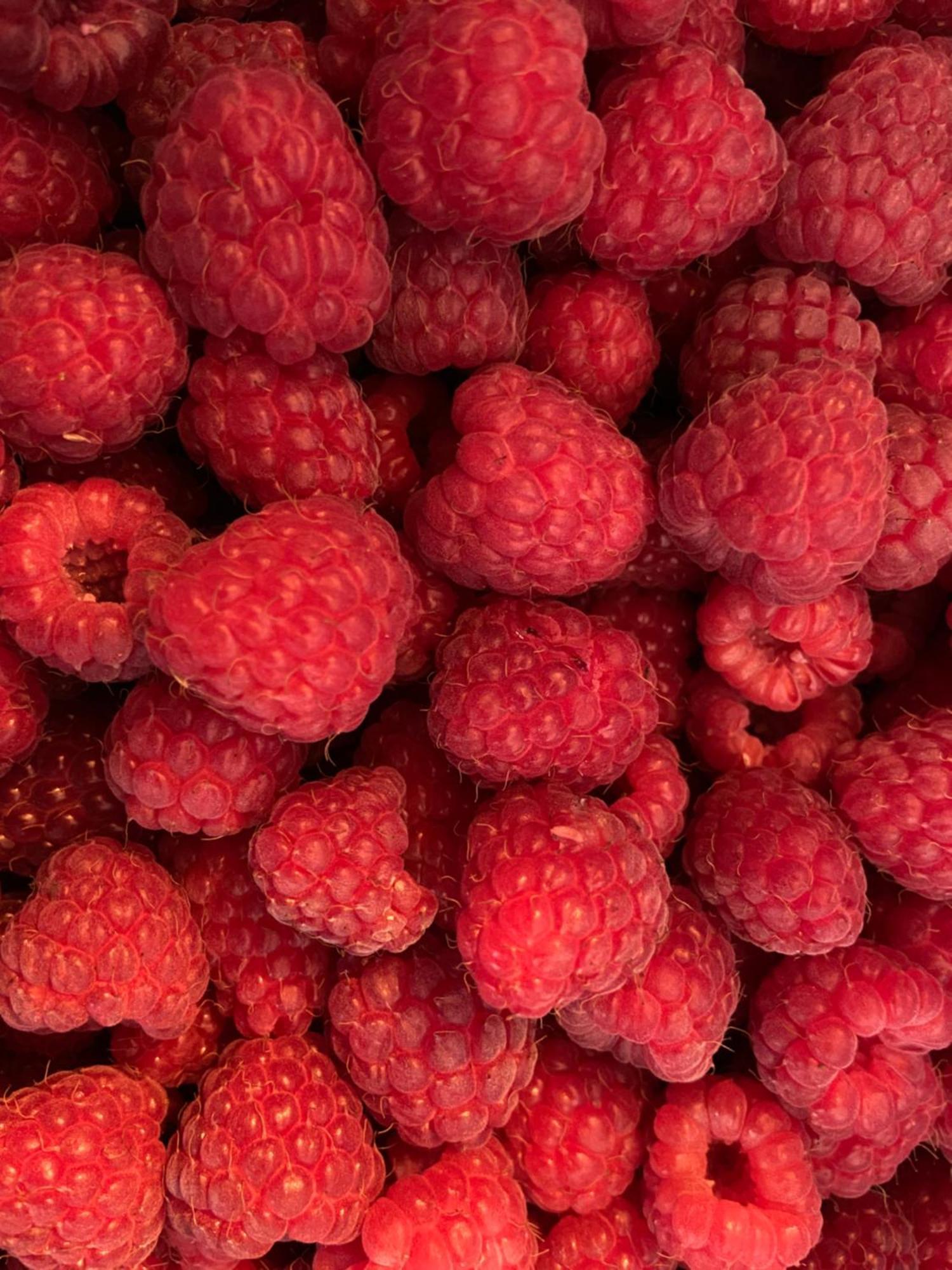 Fralignes Pivoine Chambre D Hotes المظهر الخارجي الصورة