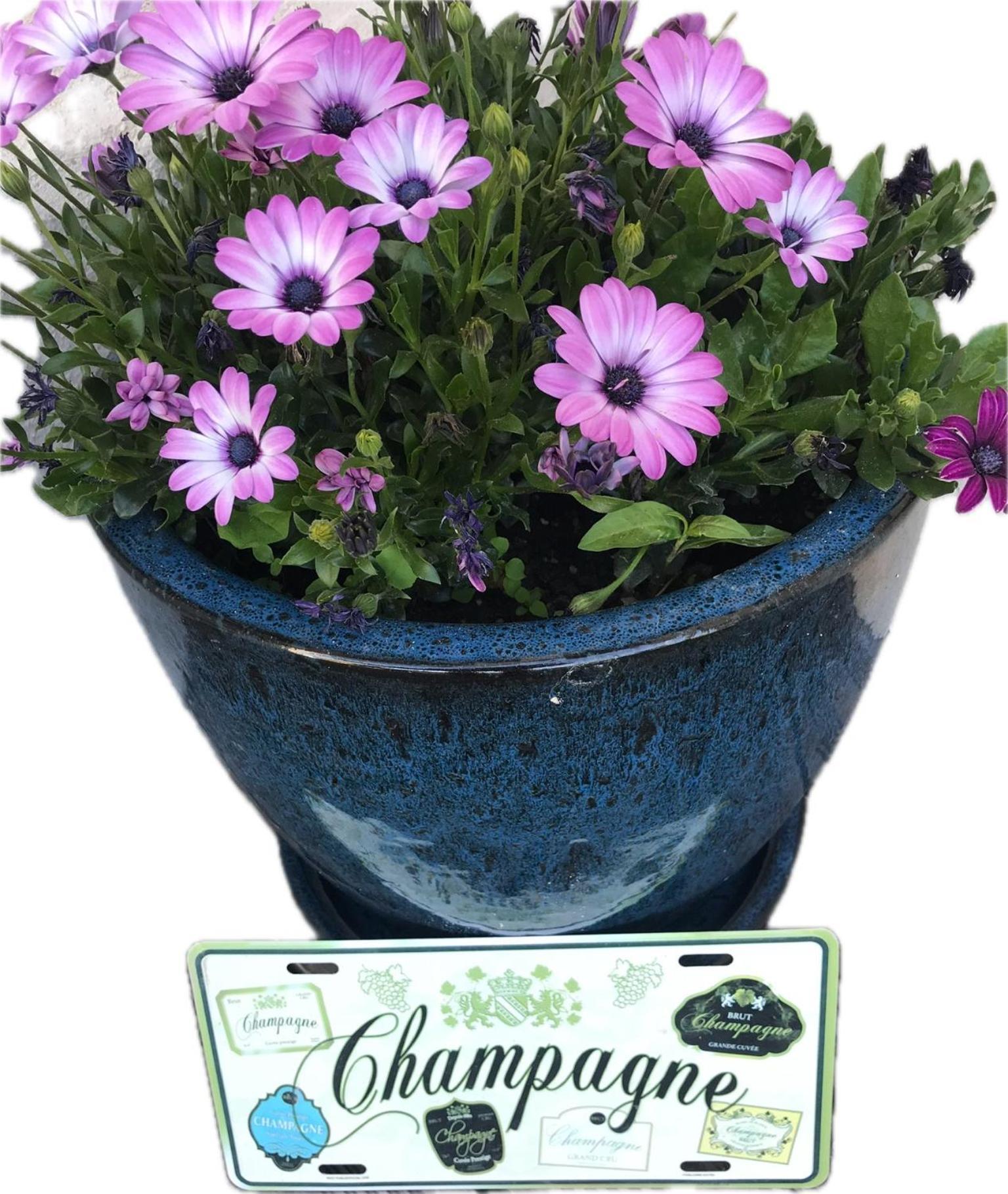 Fralignes Pivoine Chambre D Hotes المظهر الخارجي الصورة